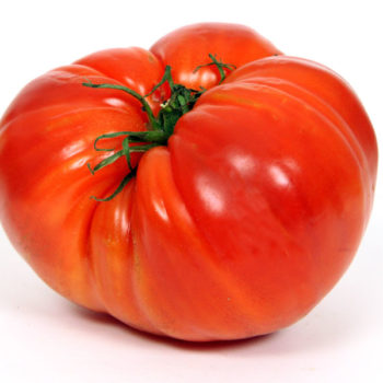 EVG-024-NL-4-Tomate coeur de boeuf.jpg